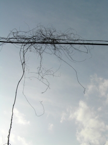 Wire Dangle